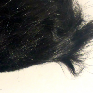 Orejas de gato - Imagen 5