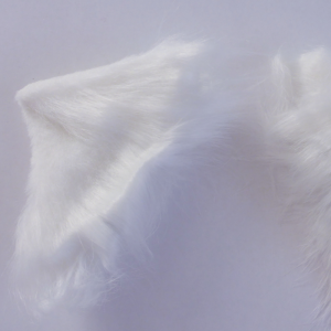 Orejas de gato - Imagen 4