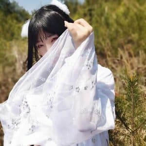 Hanfu Chino Mujer Dynasty - Imagen 8